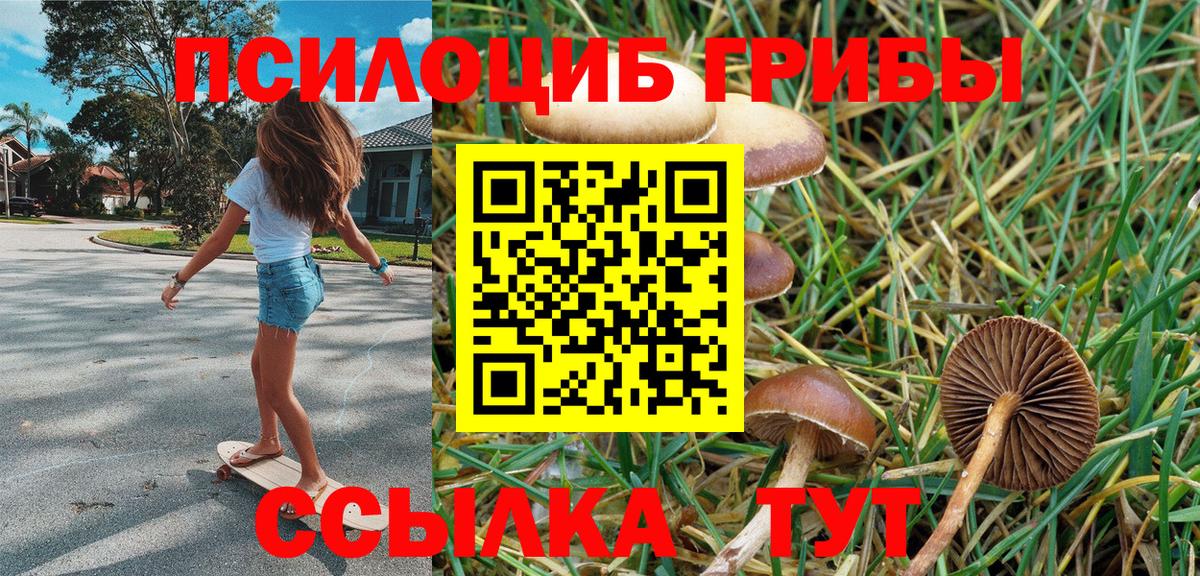Галлюциногенные грибы GOLDEN TEACHER Майский