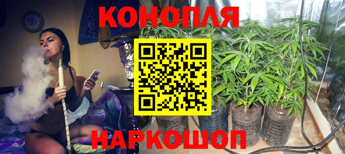 Марихуана семена Майский